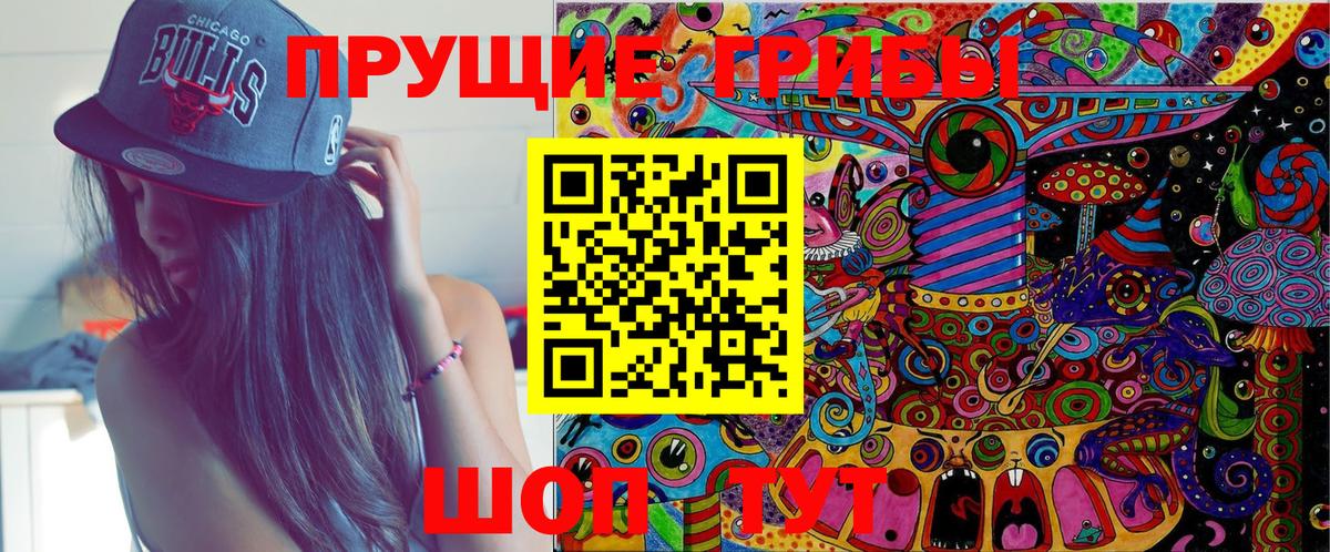 Галлюциногенные грибы GOLDEN TEACHER  Псилоцибиновые грибы Psilocybe  купить закладку  Пенза  Вход с VPN 