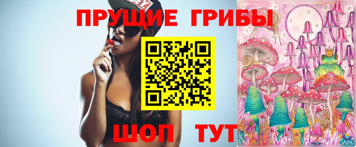 Псилоцибиновые грибы Psilocybe Пенза