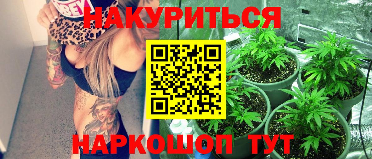 Бошки Шишки планчик Пенза